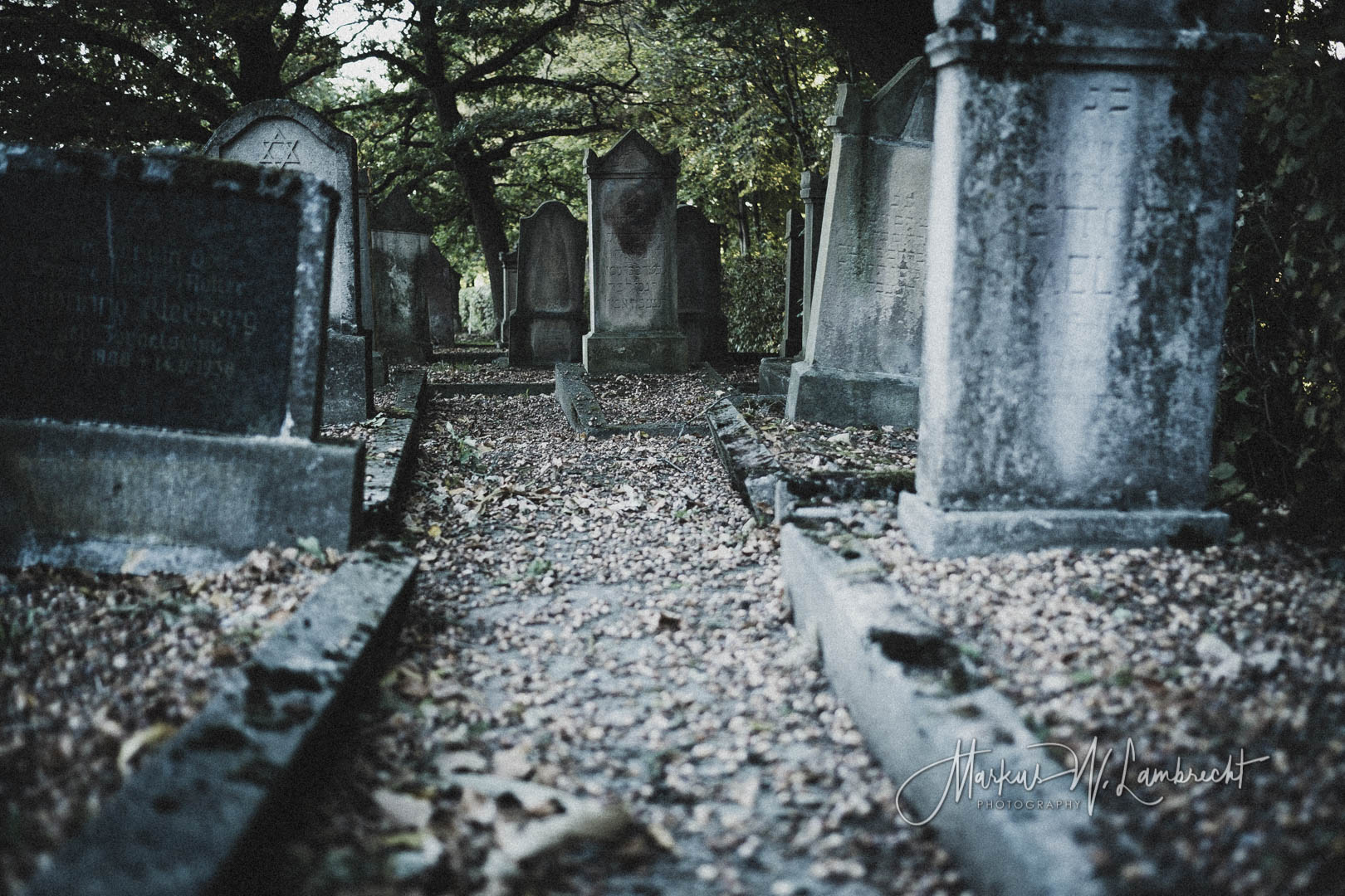 Vörden (Marienmünster), Jüdischer Friedhof